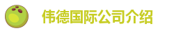 伟德下载安卓版